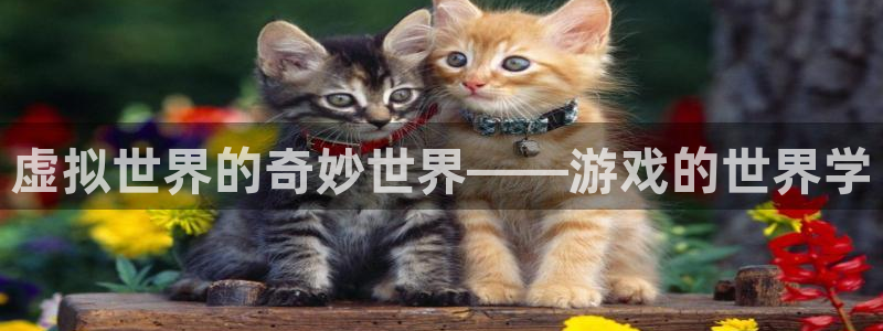 乐玩软件